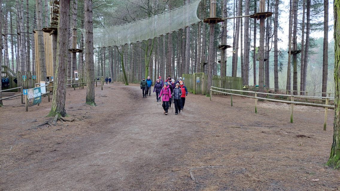 Walking though Delamere Forest