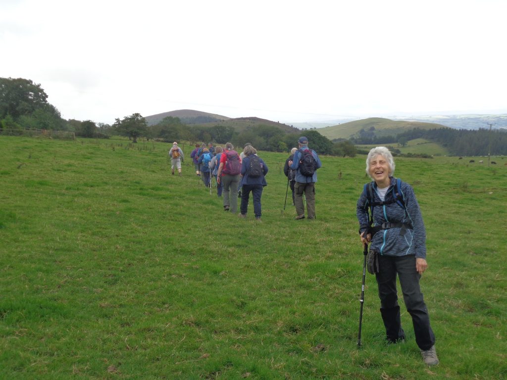 C Group set off