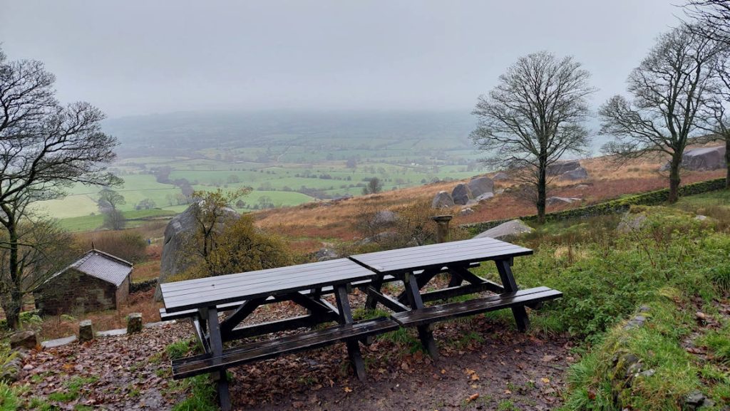 Roaches picnic tables