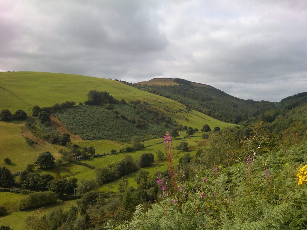 View from near Moel Fammau