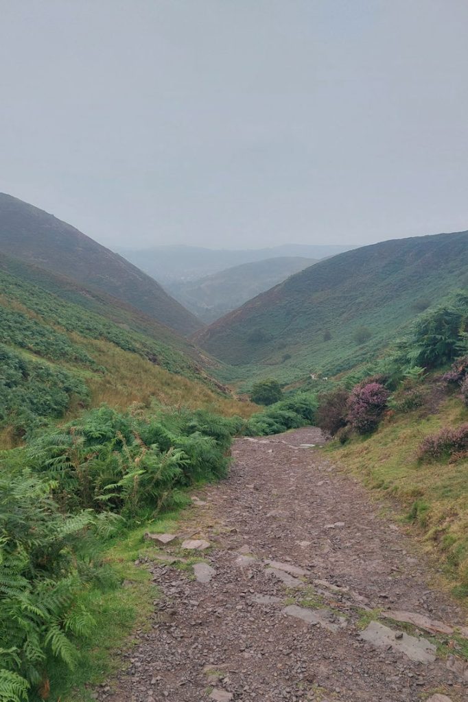 The path to Cardingmill Valley